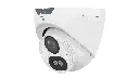 268.webp