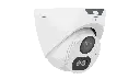267.webp