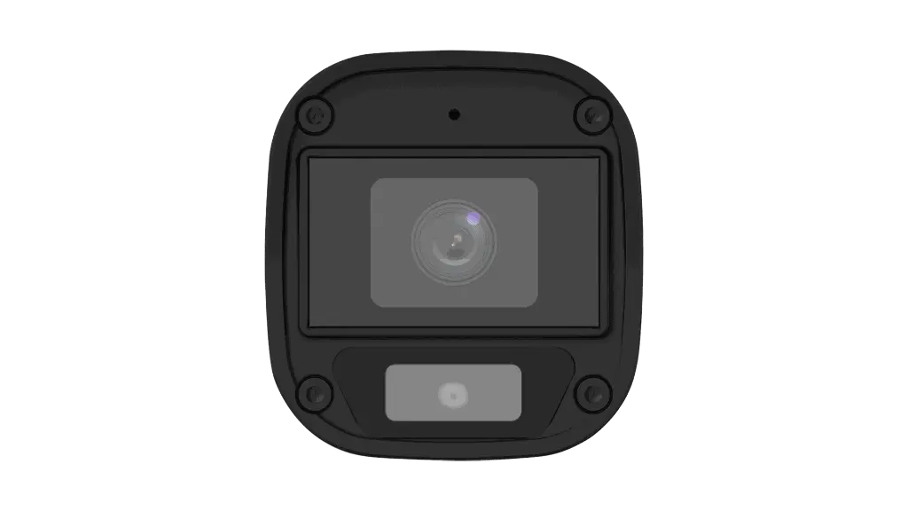 293.webp