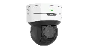 443.webp
