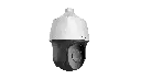 446.webp