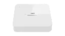 462.webp