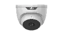 219.webp